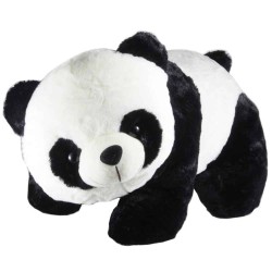 Ut qui nisi qui quidem commodi.